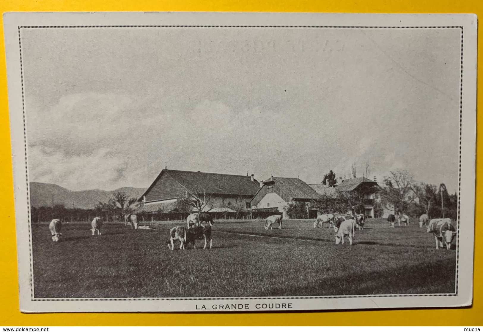 9103 -  La Grande Coudre Ferme Vaches Céligny - Céligny