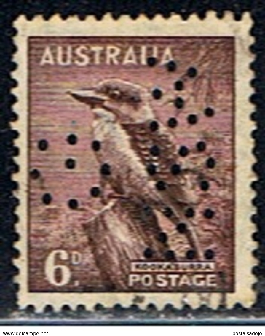 AUSTRALIE 444 // YVERT 116B  // 1937-38 - Perforadas