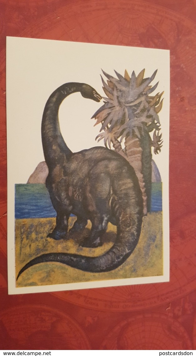 Diplodocus - Rare Old Soviet Dinosaur Serie - Old USSR Postcard 1969  Diplodocid Sauropod Dinosaurs - Altri & Non Classificati