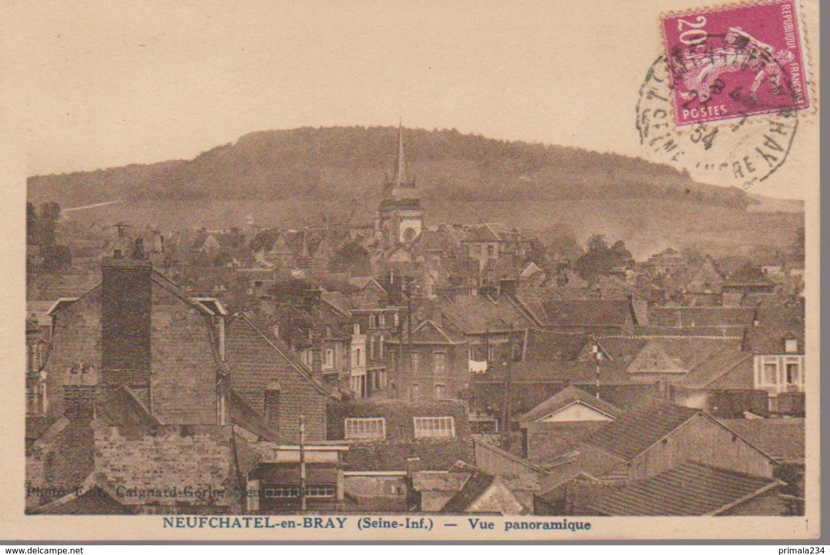 NEUFCHATEL EN BRAY - VUE PANORAMIQUE - Neufchâtel En Bray