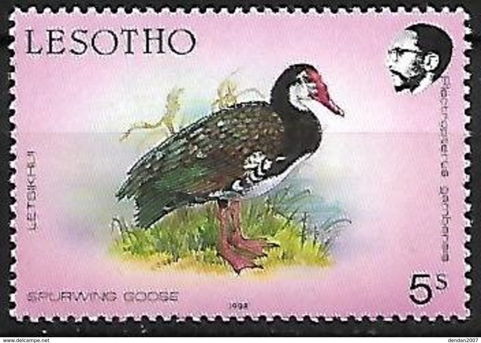 LESOTHO - MNH - 1988 - Spur-winged Goose  -  Plectropterus Gambensis - Gänsevögel