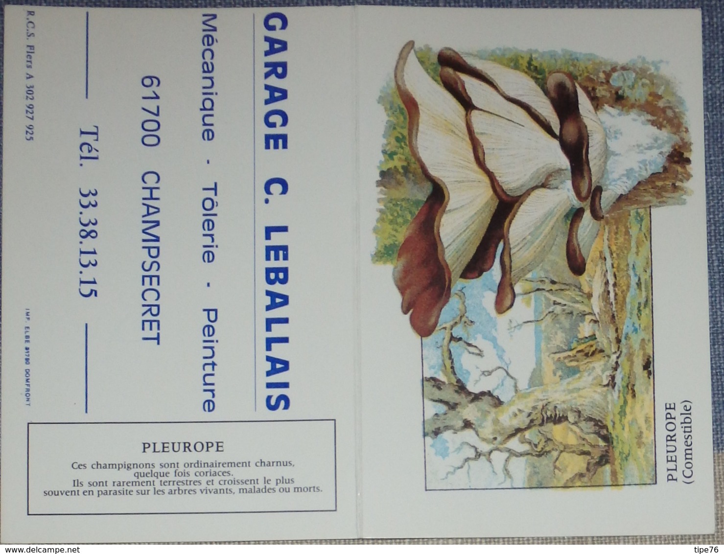 Petit Calendrier De Poche 1985 Champignon  Pleurote - Champsecret Orne - Tamaño Pequeño : 1981-90