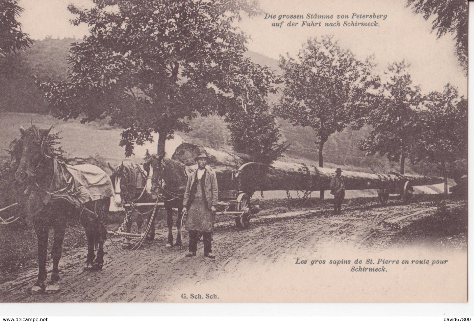 67 SCHIRMECK LES GROS SAPINS SAINT PIERRE EN ROUTE TRÉS ANIMÉES CPA BON ÉTA - Schirmeck