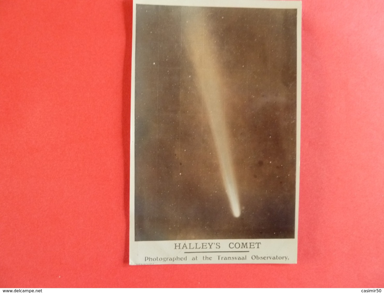 HAILLEY'S COMET TRANSVAAL - Astronomia