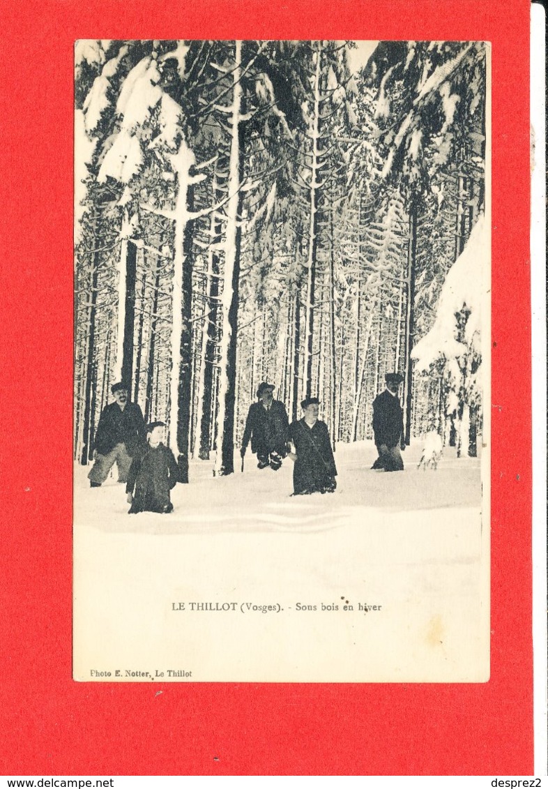 88 LE THILLOT Cpa Animée Sous Bois En Hiver         Photo Notter - Le Thillot