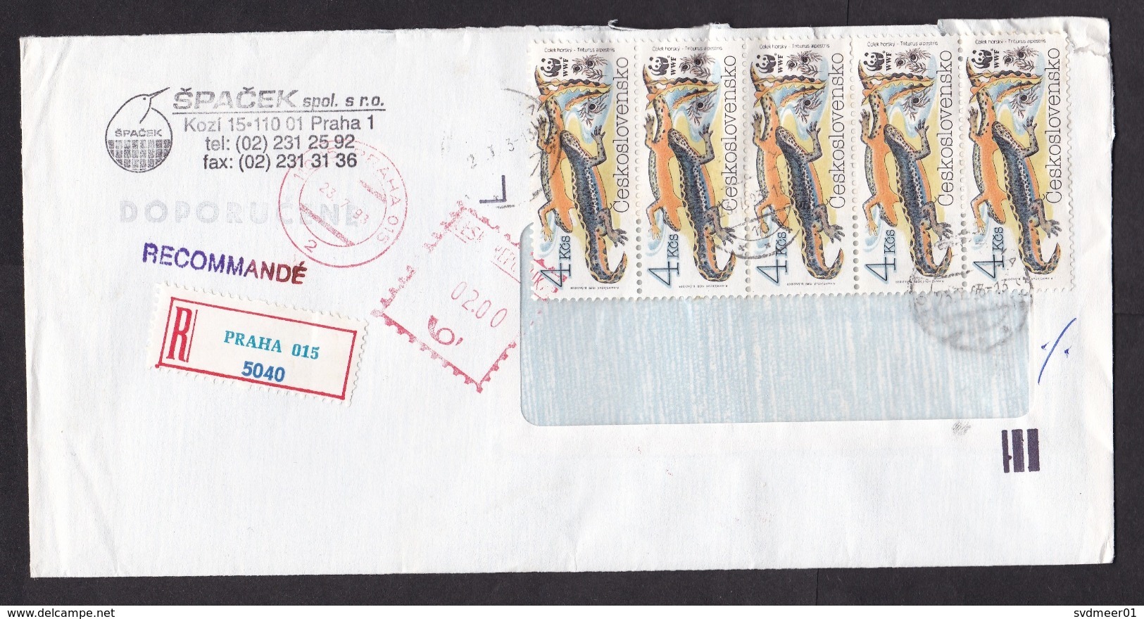 Czechoslovakia: Cover, 1993, 8 Stamps & Meter Cancel, Salamander, Reptile, WWF Panda Logo, R-label (damaged) - Covers & Documents