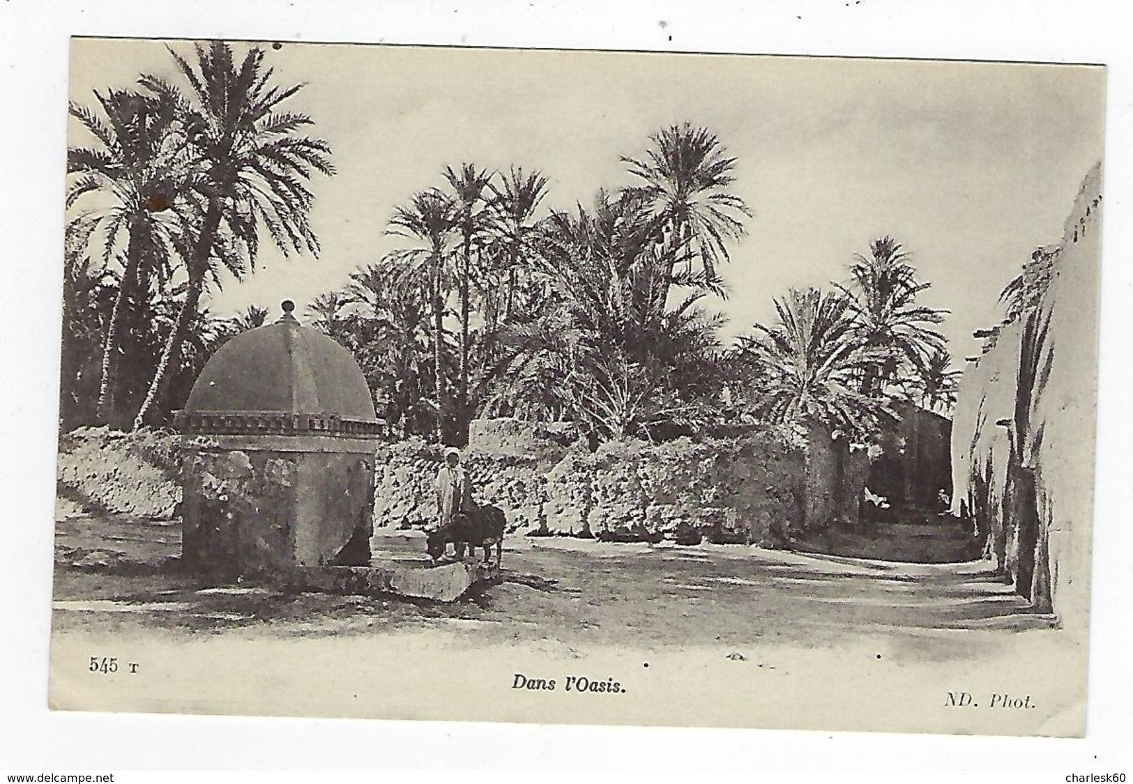 CPA - Algérie - Dans L'Oasis - Une Fontaine - Scene & Tipi