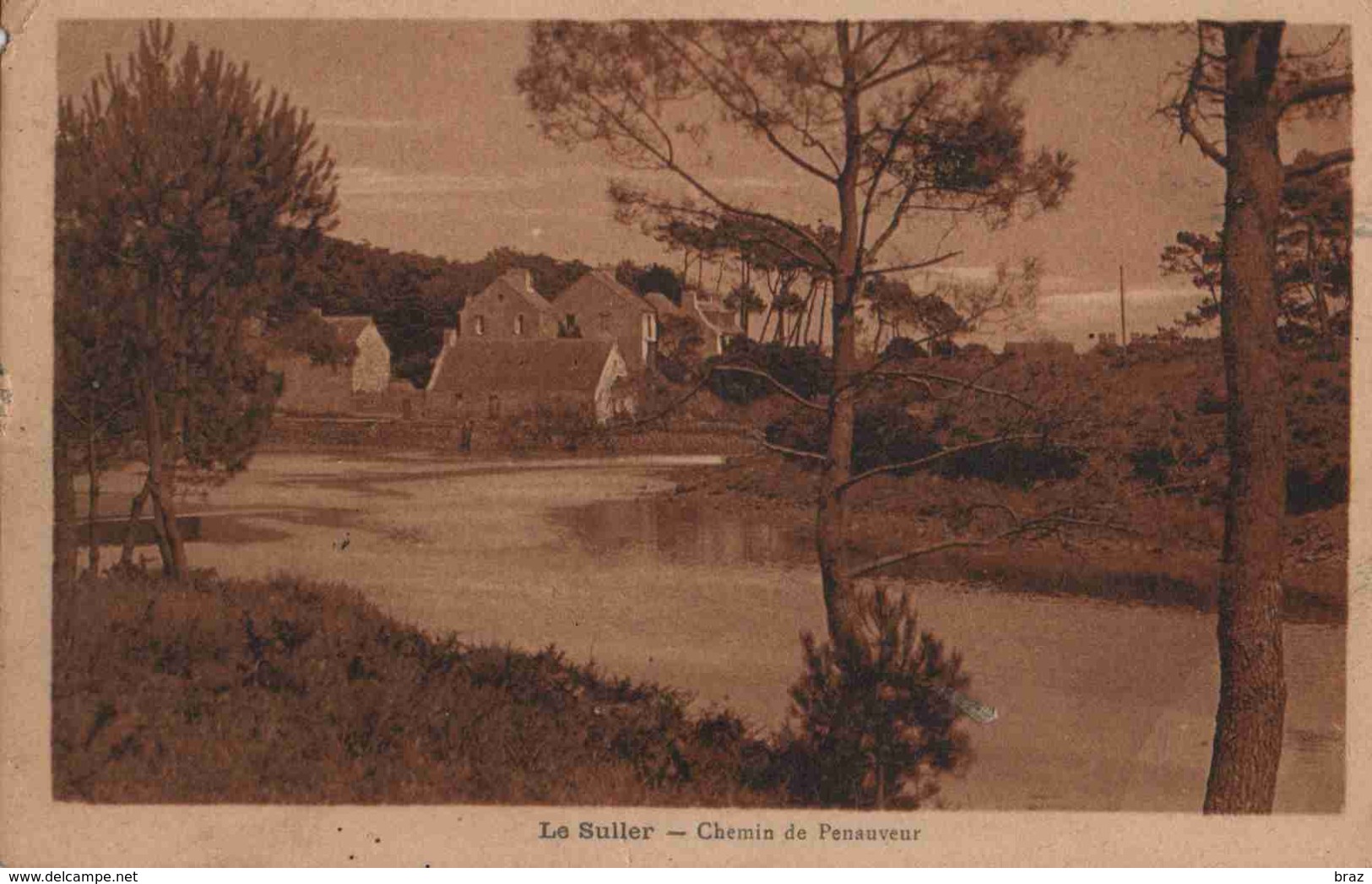 CPA  Pont L'abbé  Le Suller Chemin De Penauveur - Pont L'Abbe