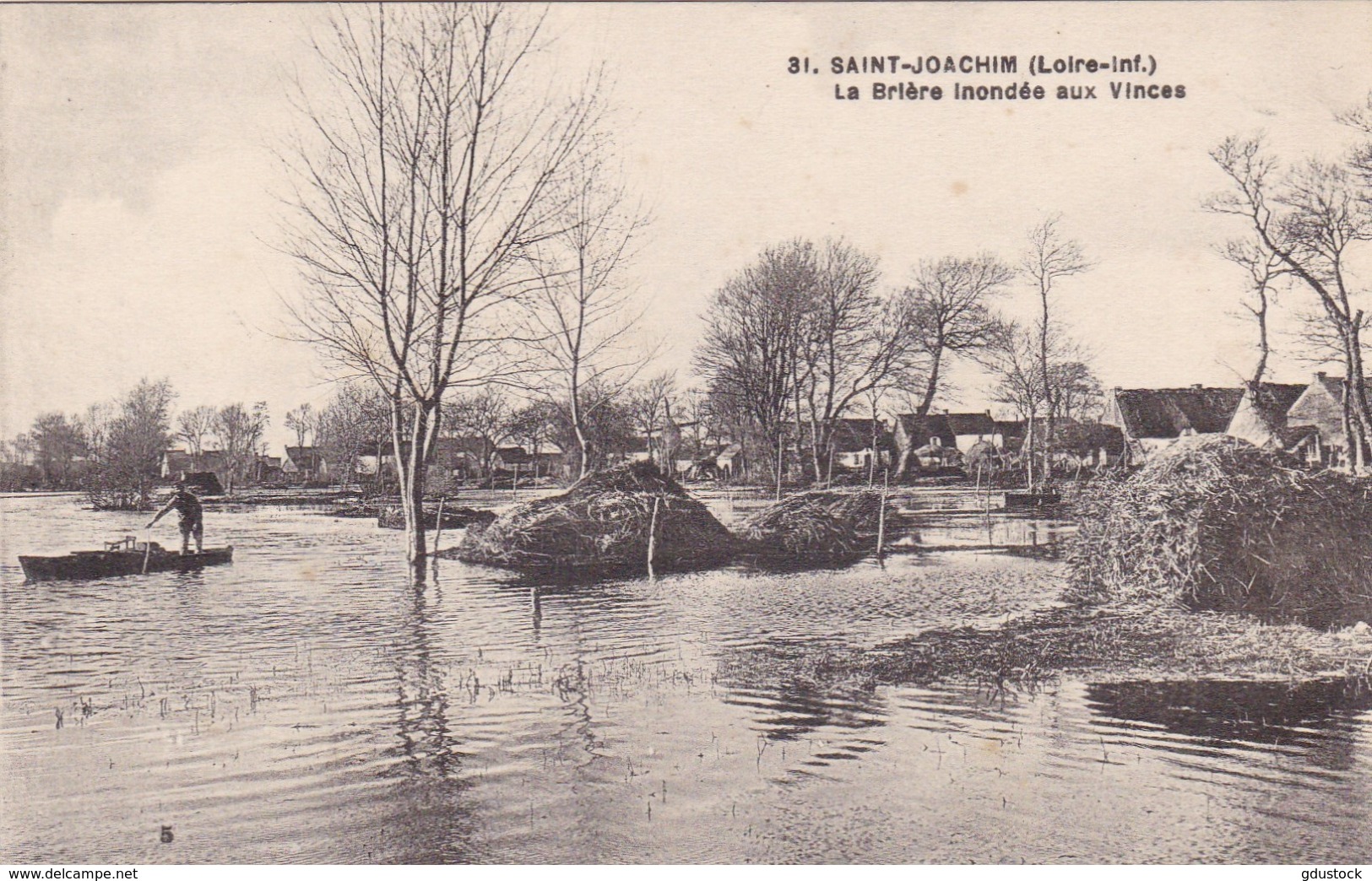 Loire-Atlantique - Saint-Joachim - La Brière Inondés Aux Vinces - Saint-Joachim