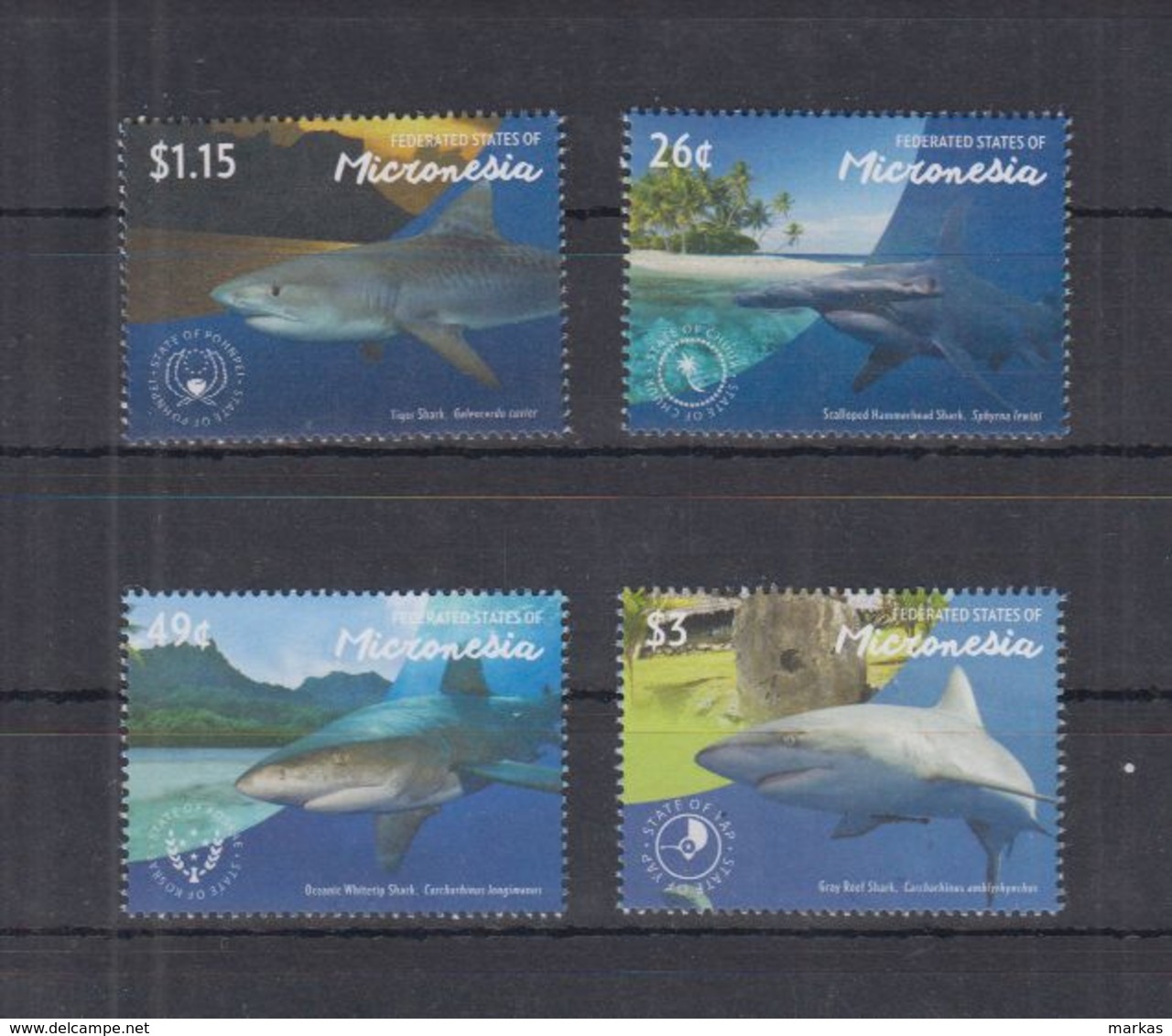 H704. Micronesia - MNH - Nature - Marine Life - Sharks - Other & Unclassified