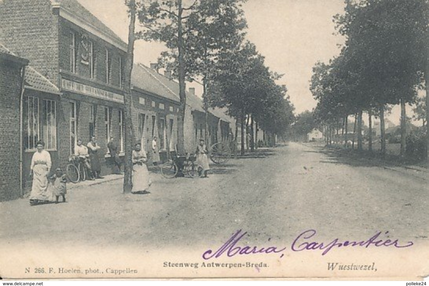 Wuustwezel - Steenweg Antwerpen-Bredal - Hoelen Nr. 266 - 1904 - Wuustwezel