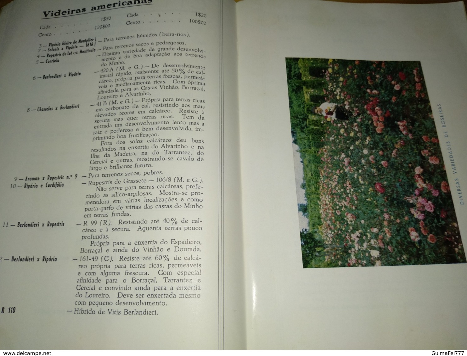 Book, Livro - Catálogo da Soc. Agric. Quinta de Santa Maria - Barcelos 1968/1969