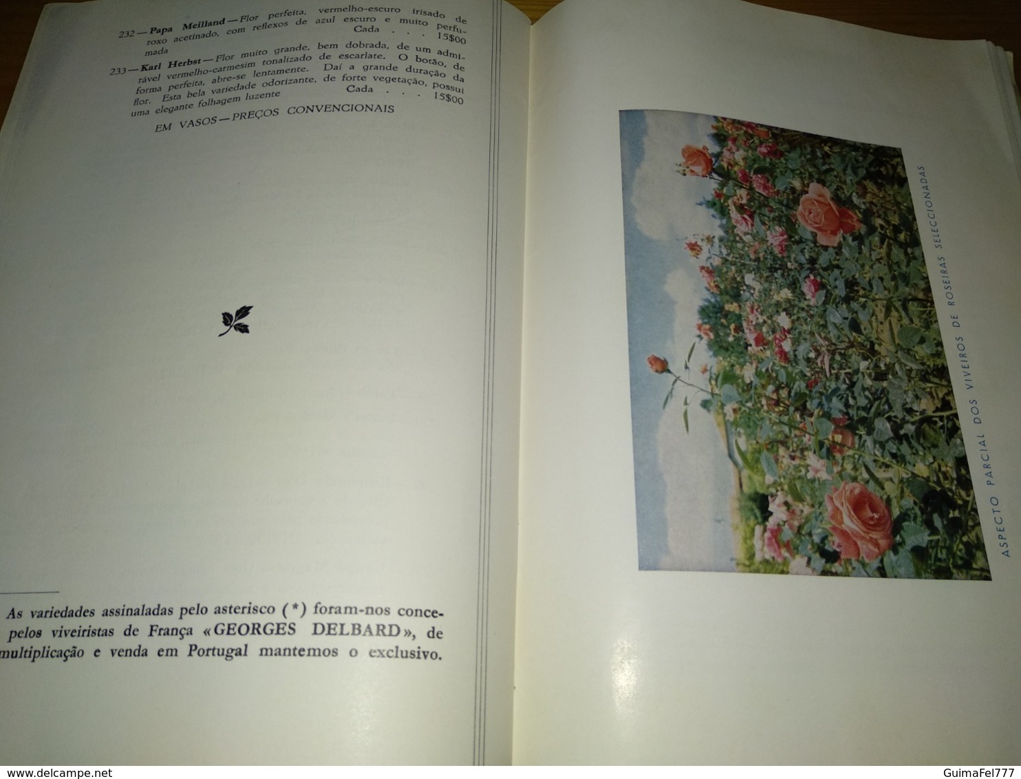 Book, Livro - Catálogo da Soc. Agric. Quinta de Santa Maria - Barcelos 1968/1969