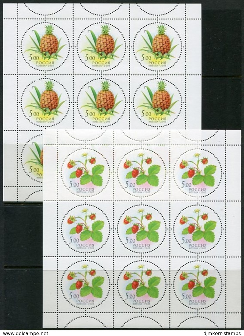 RUSSIA 2003 Fruits Sheetlets Of 9 MNH / **.  Michel 1113-17 - Blocks & Sheetlets & Panes
