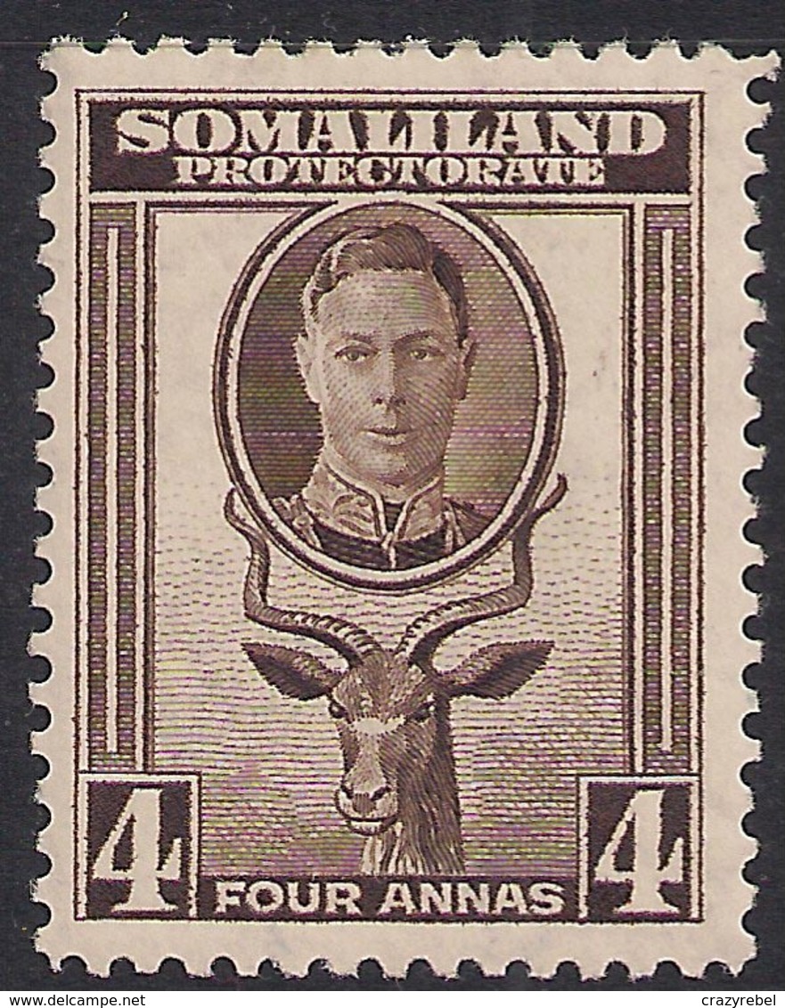 Somaliland 1942 KGV1 4 Annas Sepia MM SG 109 ( K578 ) - Somaliland (Protectorate ...-1959)