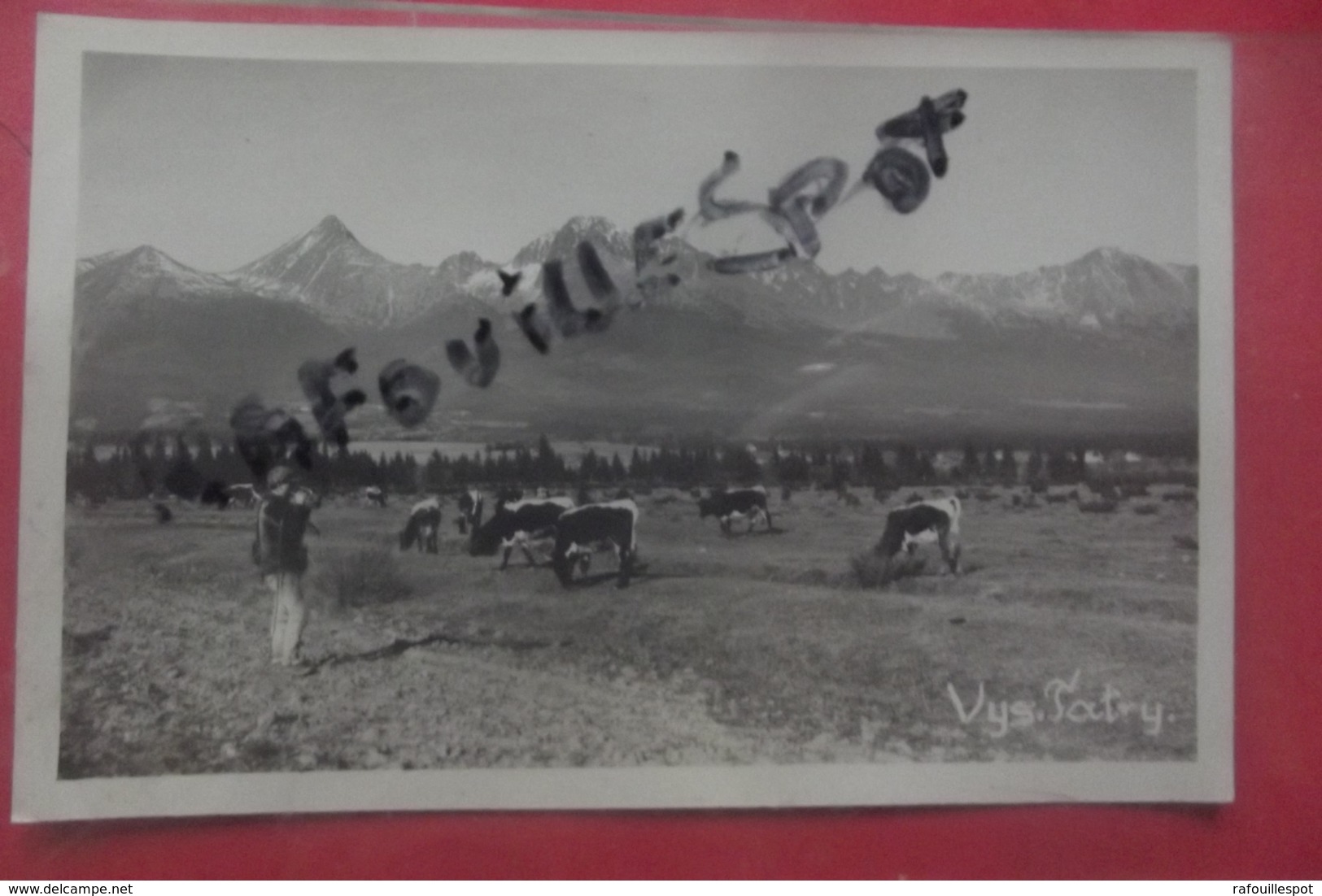 Cp Vys Tatry Gardien De Vaches - Slovaquie