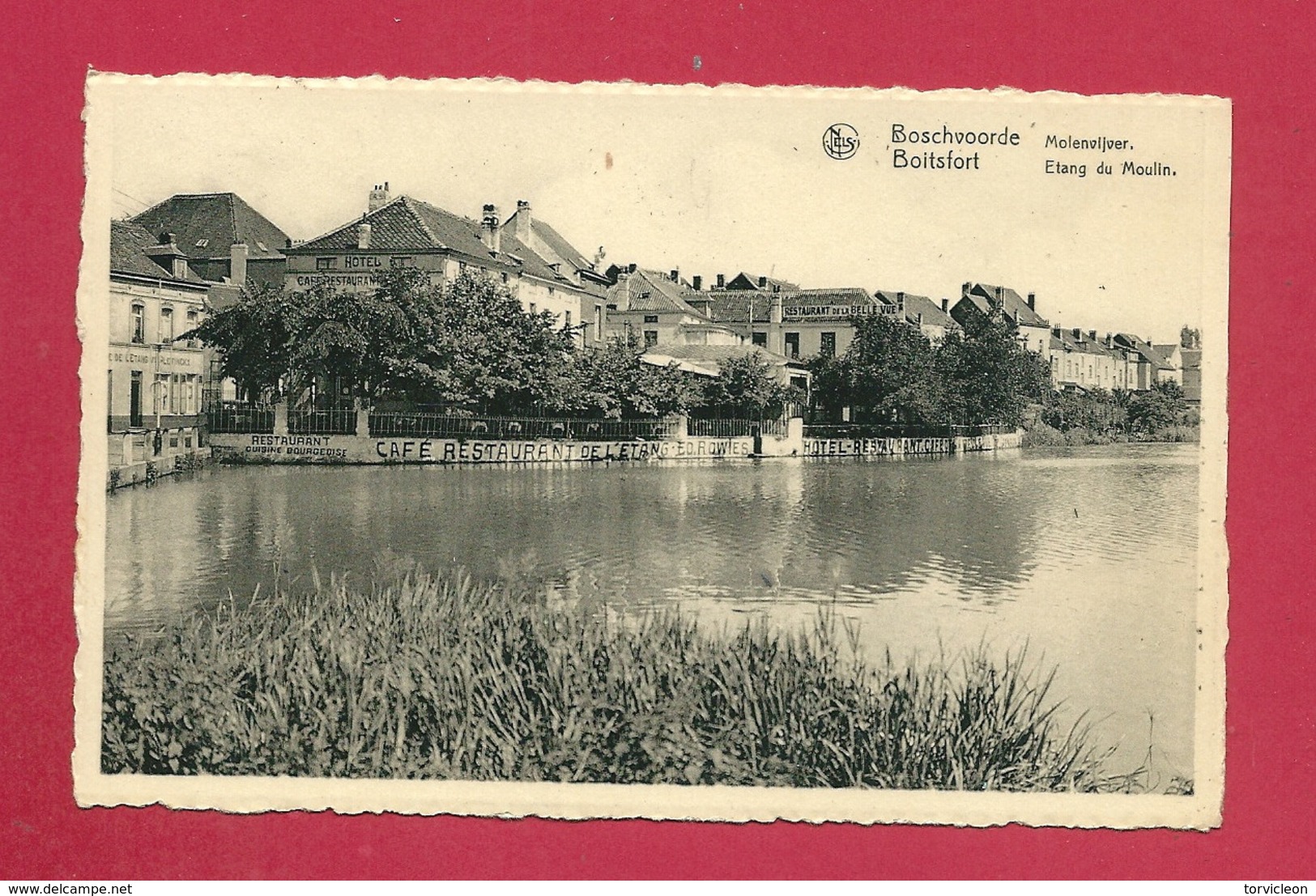 C.P. Boitsfort  =  Etang  Du  Moulin - Watermael-Boitsfort - Watermaal-Bosvoorde