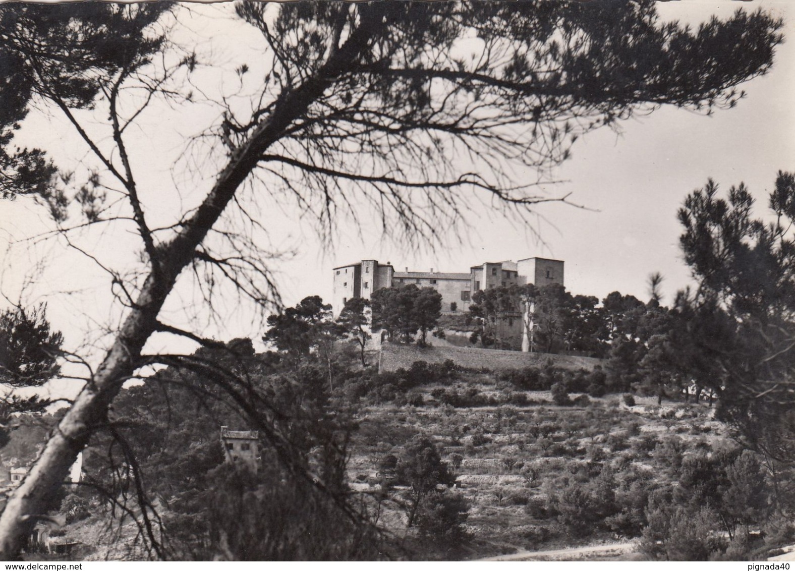 Cp , 13 , MEYRARGUES , Le Château - Meyrargues