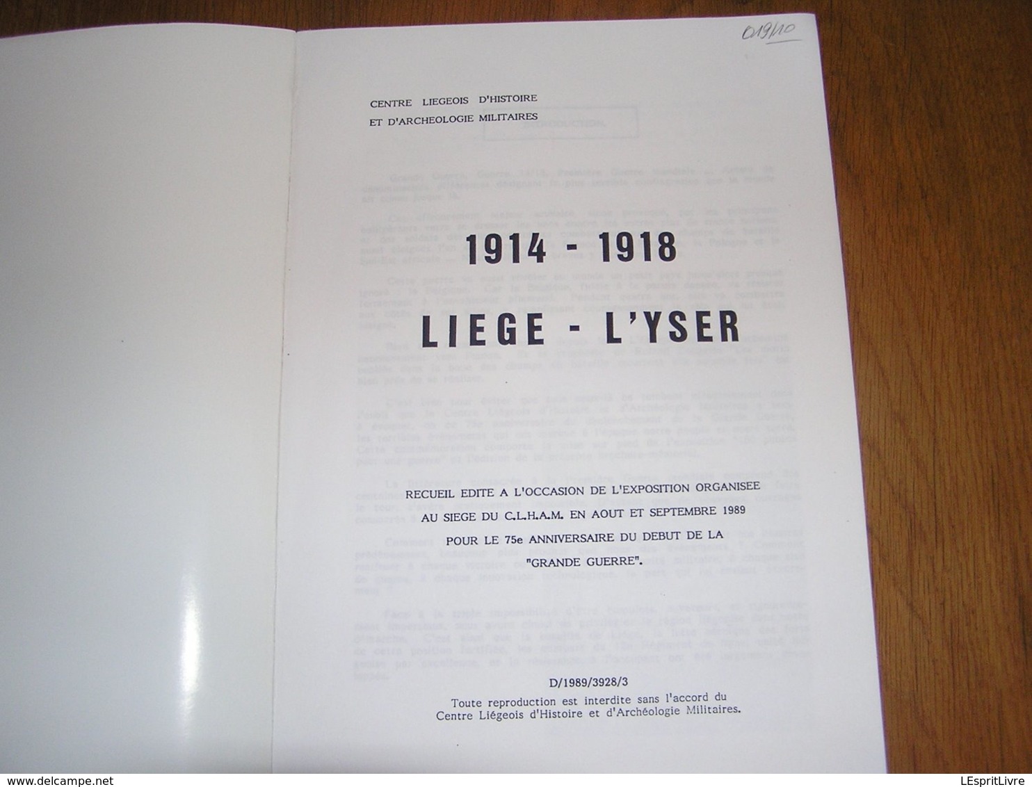 1914 1918 LIEGE L'YSER Guerre 14 18 PFL Fortifications Namur Régiment Sart Tilman Dixmude Gette Haelen Ypres Keyem Ijser - Guerre 1914-18