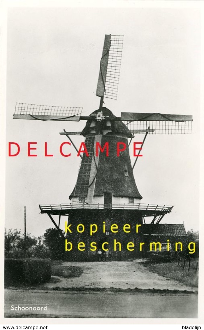 SCHOONOORD - Coevorden (Drenthe) - Molen/moulin - De Korenmolen Met Wieken Omstreeks 1960 (bestaat Nog Als Romp) - Coevorden