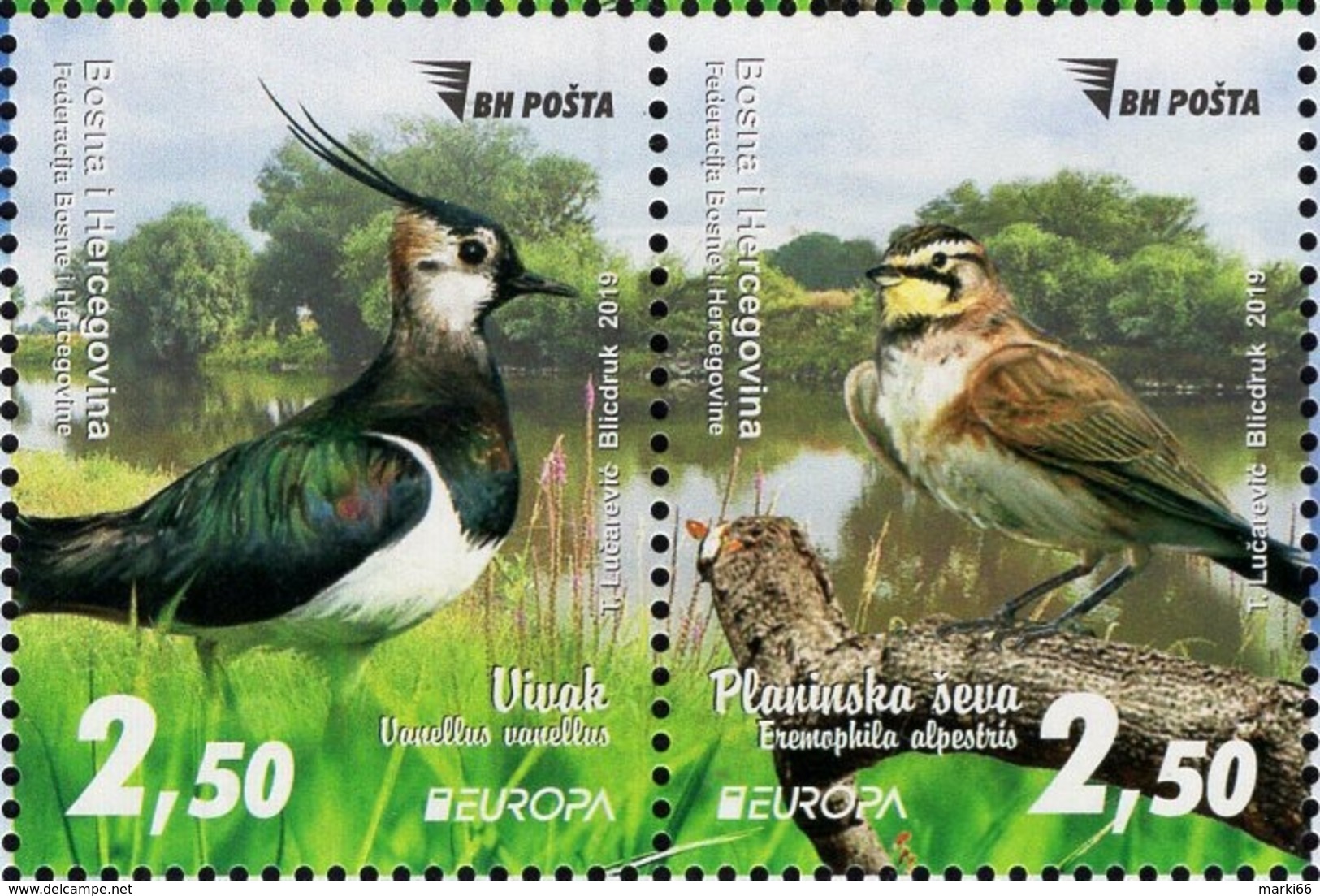 Bosnia & Herzegovina - Sarajevo - 2019 - Europa CEPT - National Birds - Mint Stamp Set - Bosnia Herzegovina