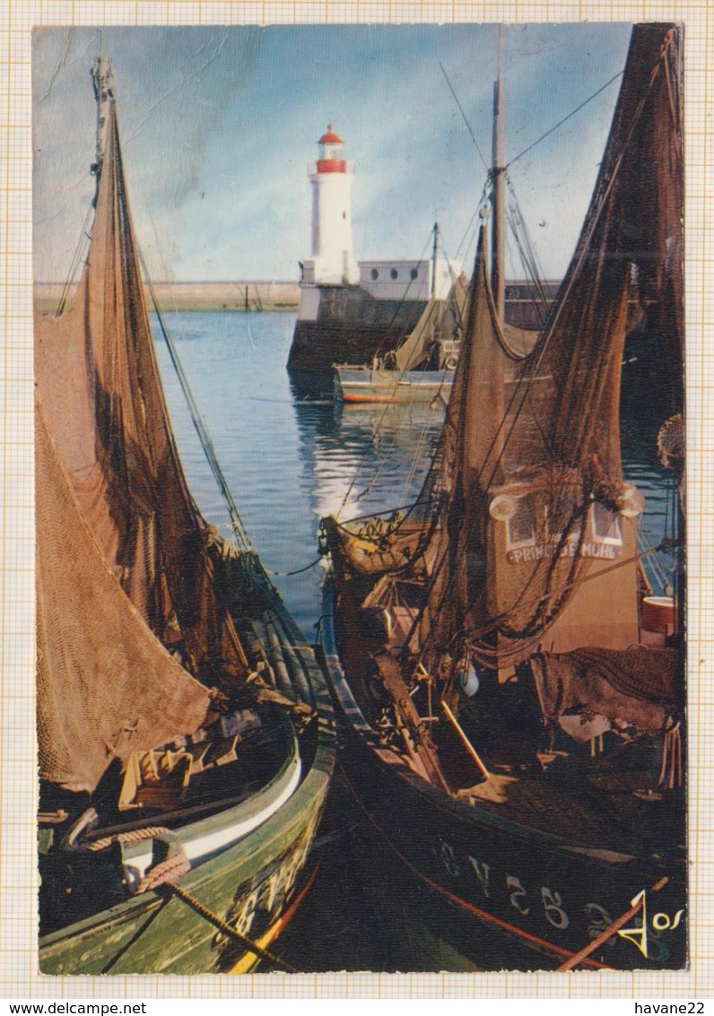 9AL2662 BATEAUX SECHANT LEURS FILETS DANS LE PORT GUILVINEC 2 SCANS - Guilvinec