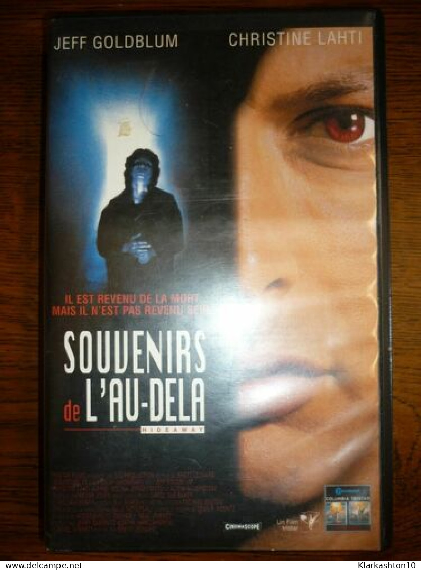 VHS Souvenirs De L'au-delà Jeff Goldblum-Christine Lahti - Otros & Sin Clasificación