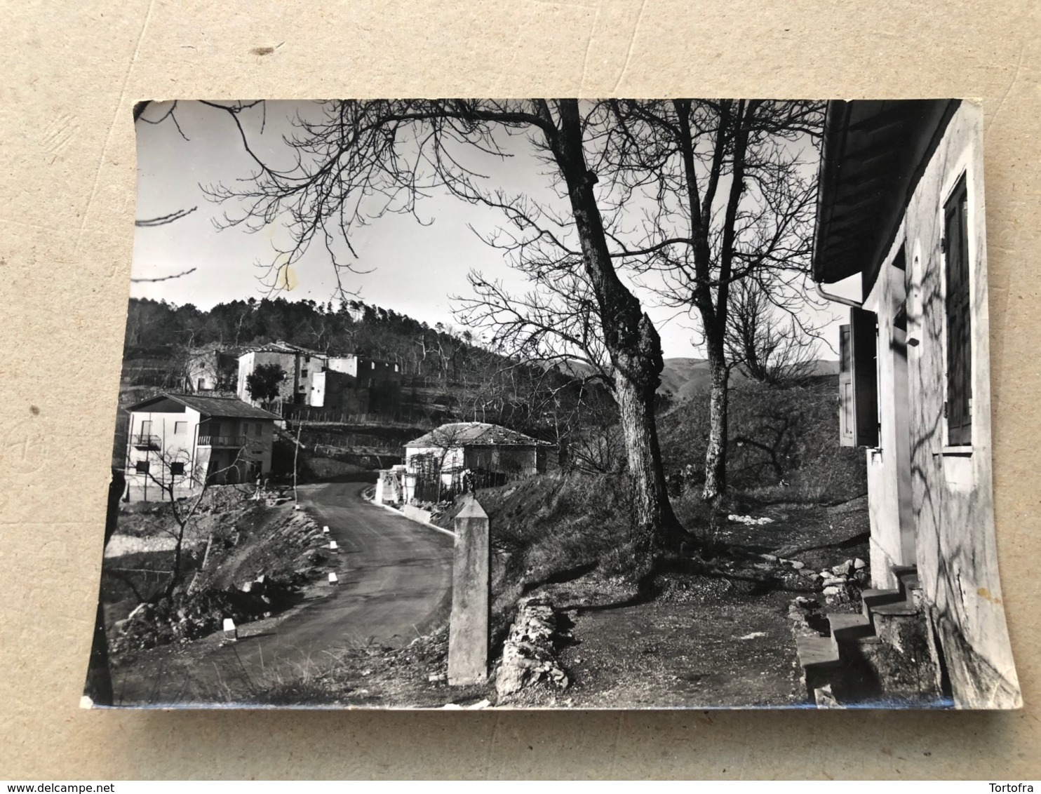 SESTA GODANO (PA SPEZIA) FRAZIONE SCOGNA. 1964 - La Spezia