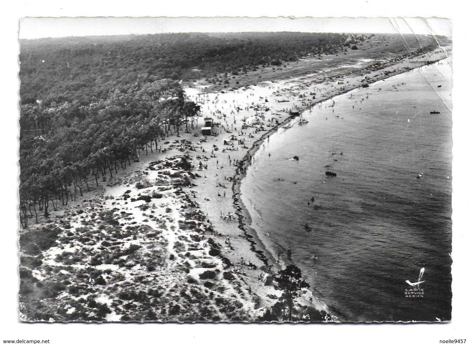 17 – BOYARDVILLE – ILE D’OLERON : La Grande Plage N° 55 - Ile D'Oléron