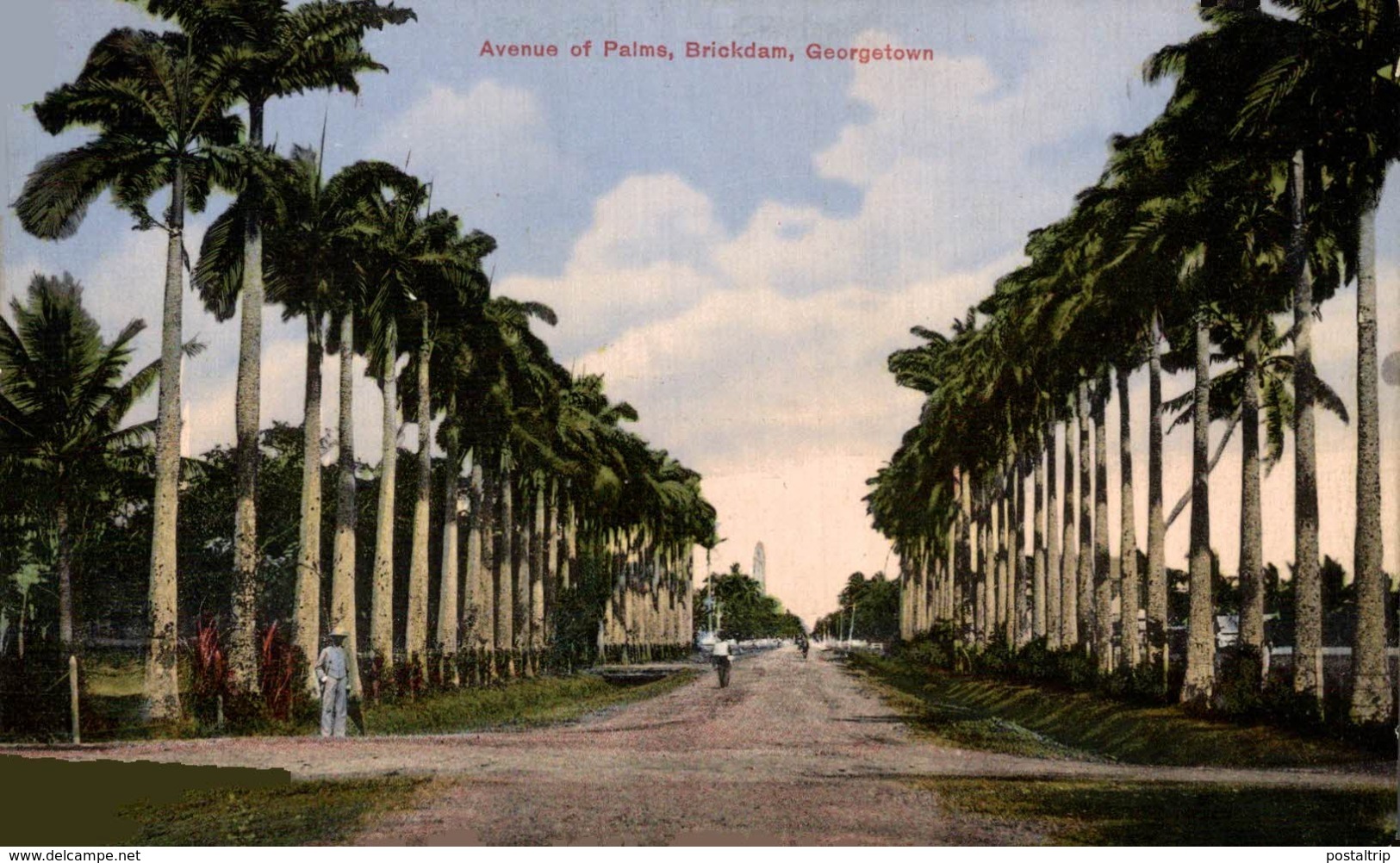 GEORGETOWN, Brickdam, Avenue Of Palms BRITISH GUIANA GUYANE BRITANNIQUE GUAYANA GUYANA - Otros & Sin Clasificación
