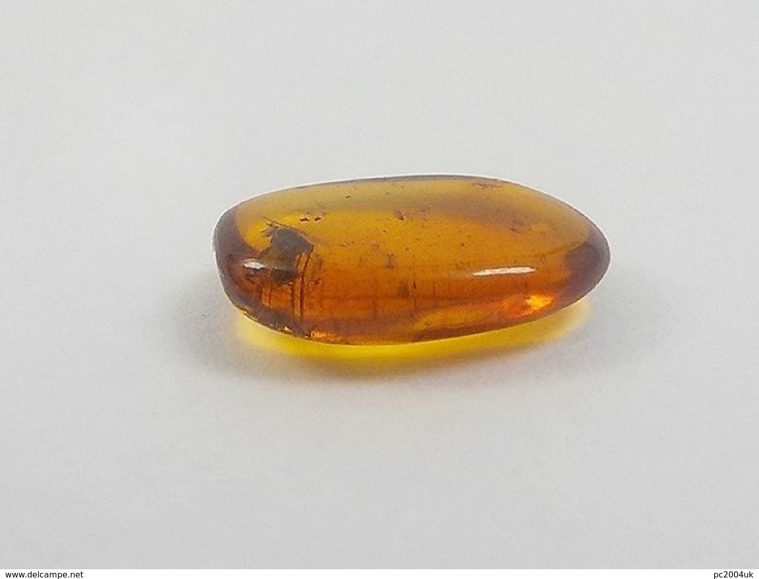 Insect in Baltic Amber - Phoridae - Scuttle Fly - 12×7×3 mm. Free shipping. Free shipping