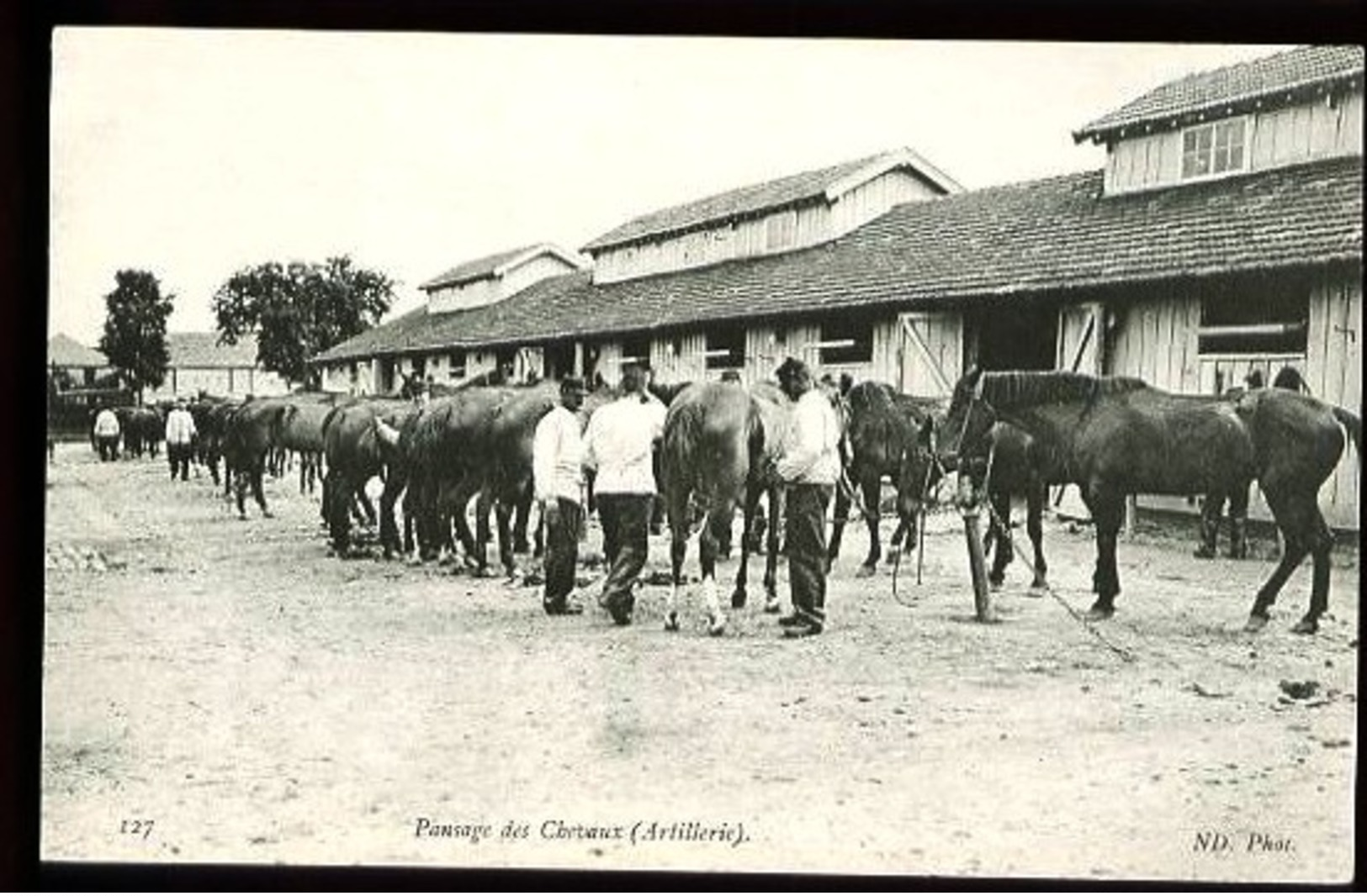 127 : Pansage Des Chevaux (Artillerie) - Camp De Chalons (51-Marne) - (Gros Plan Animé) - Barracks