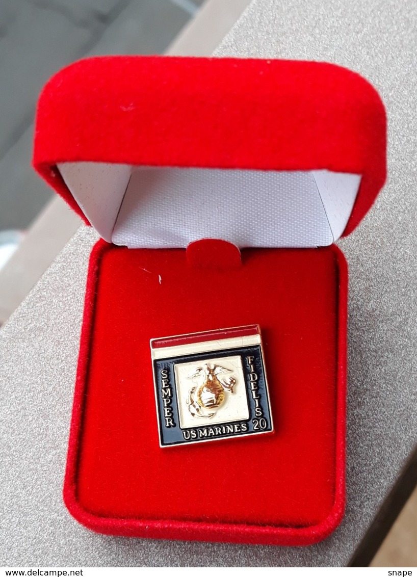 Pulce Occhiello 20 Anni Impiegato Civile US Marines - USMC Civilian Lapel Button 20 Years Service (166) - Hoeden