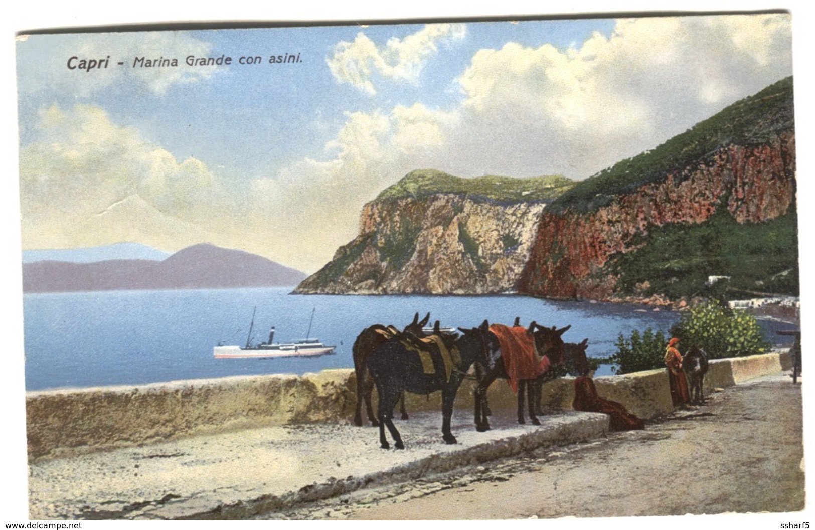 CAPRI Marina Grande Con Asini Colori Donkeys And Cruise Ship Sent 1921 - Altri & Non Classificati