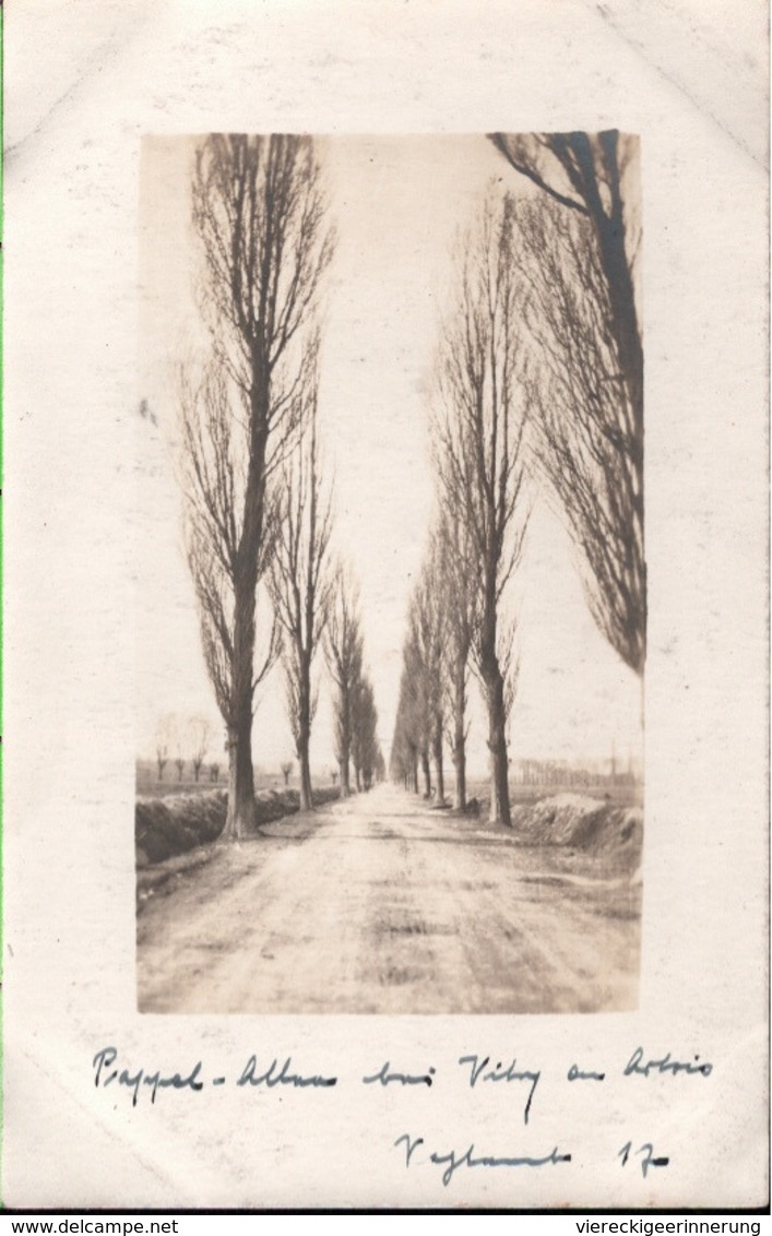 ! Vitry-en-Artois, Allee, 1917, Carte Photo Allemande, 1. Weltkrieg, Guerre 1914-18, Fotokarte - Vitry En Artois