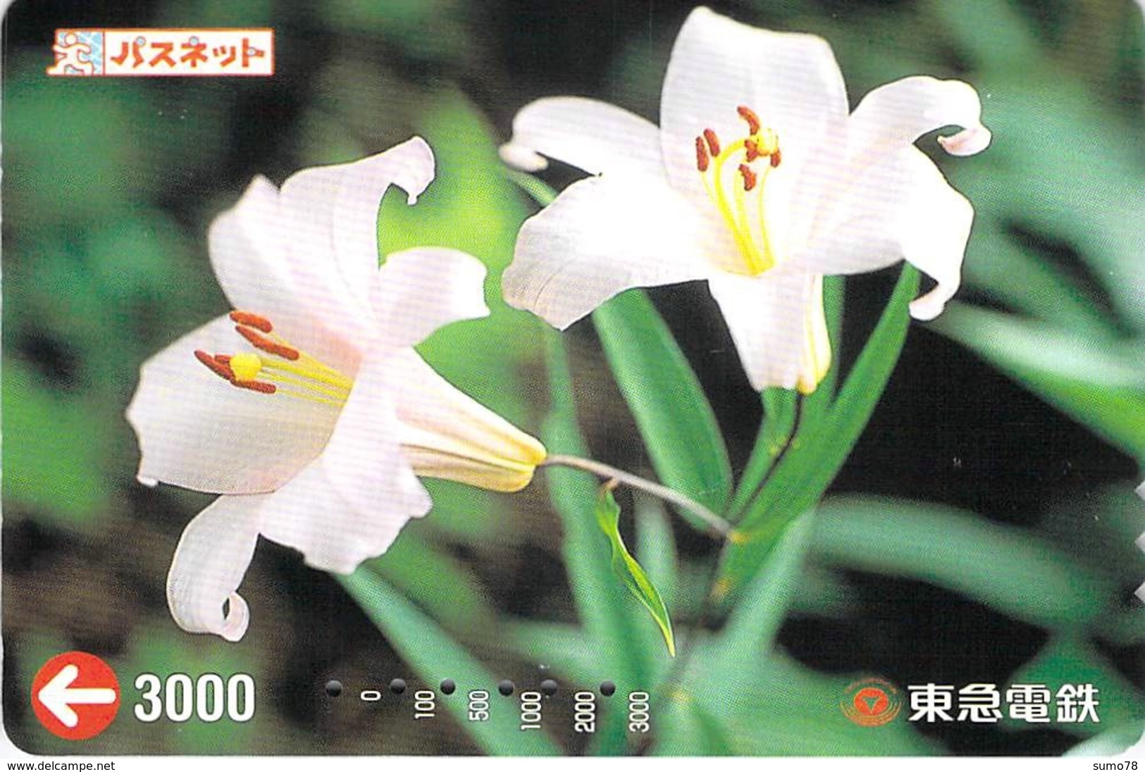 FLEUR - FLOWER - Carte Prépayée Japon - Fiori