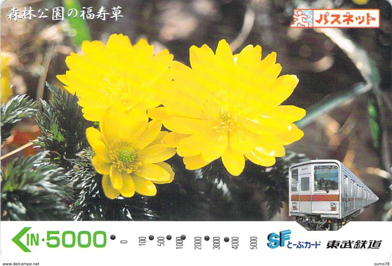 FLEUR - FLOWER - TRAIN - Carte Prépayée Japon - Fiori