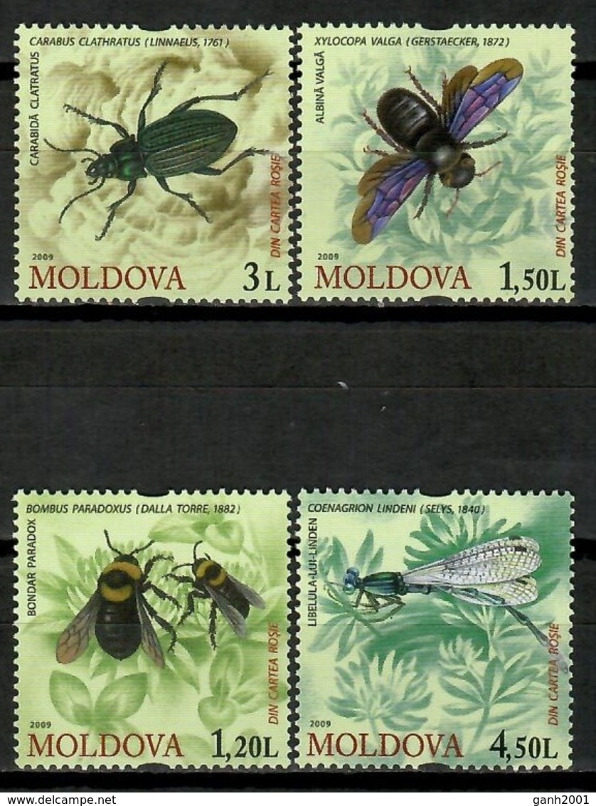 Moldova 2009 Moldavia / Insects MNH Insectos Insekten / Cu14938  1-39 - Otros & Sin Clasificación