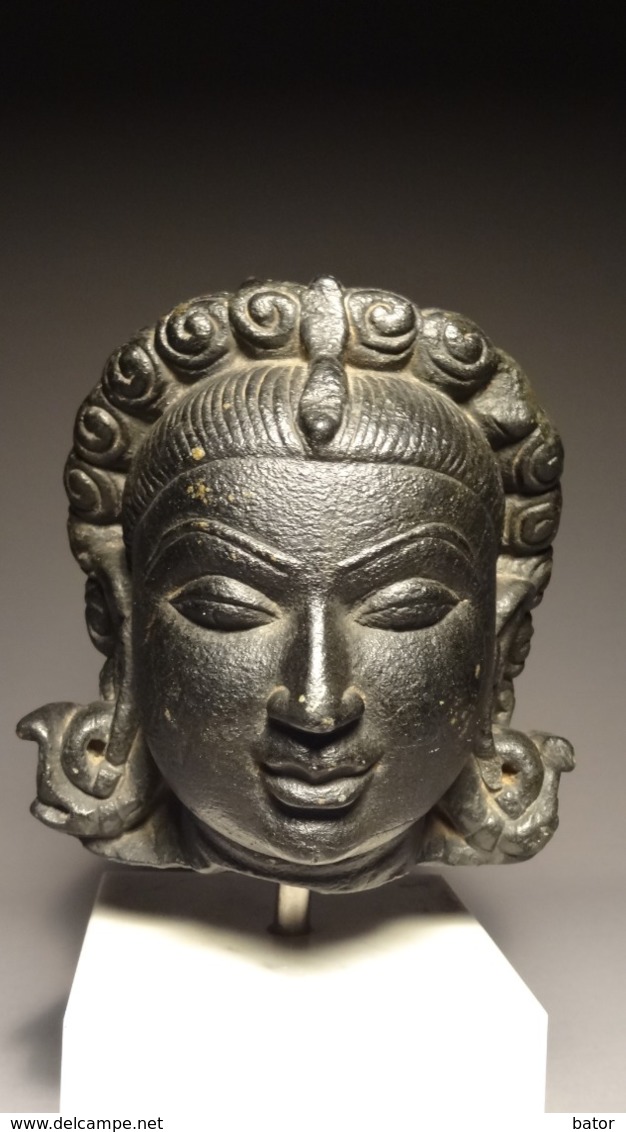 Head Of Yakshi Stone-Pala Period - Arte Asiatica