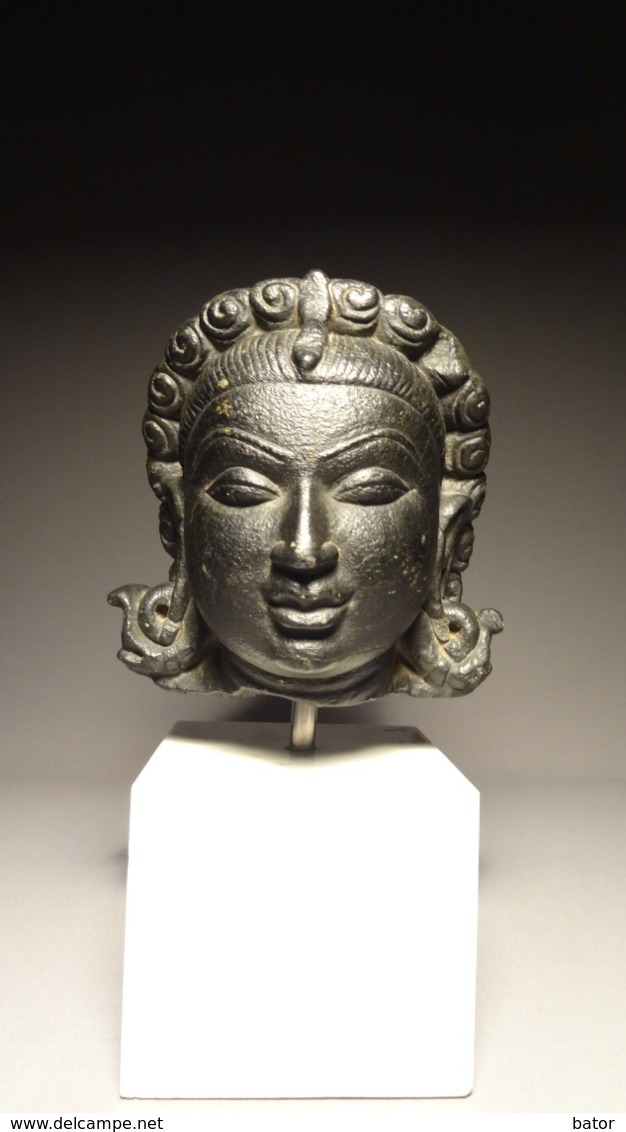 Head Of Yakshi Stone-Pala Period - Arte Asiatica