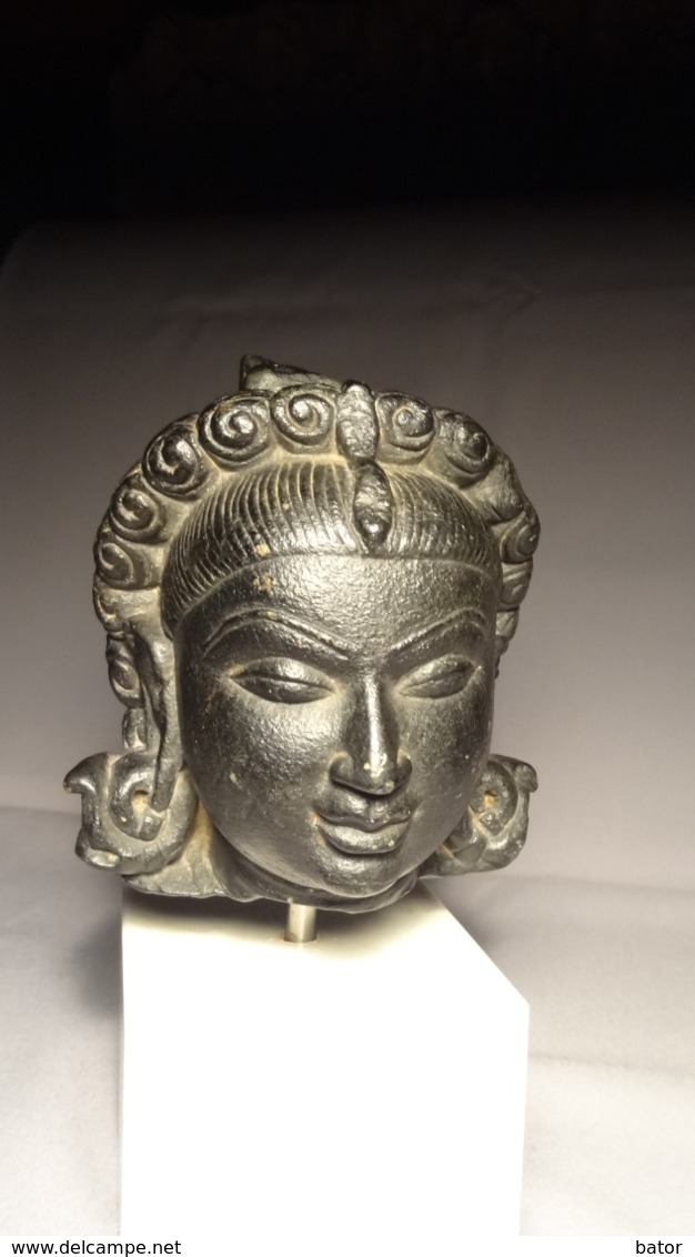 Head Of Yakshi Stone-Pala Period - Arte Asiatica