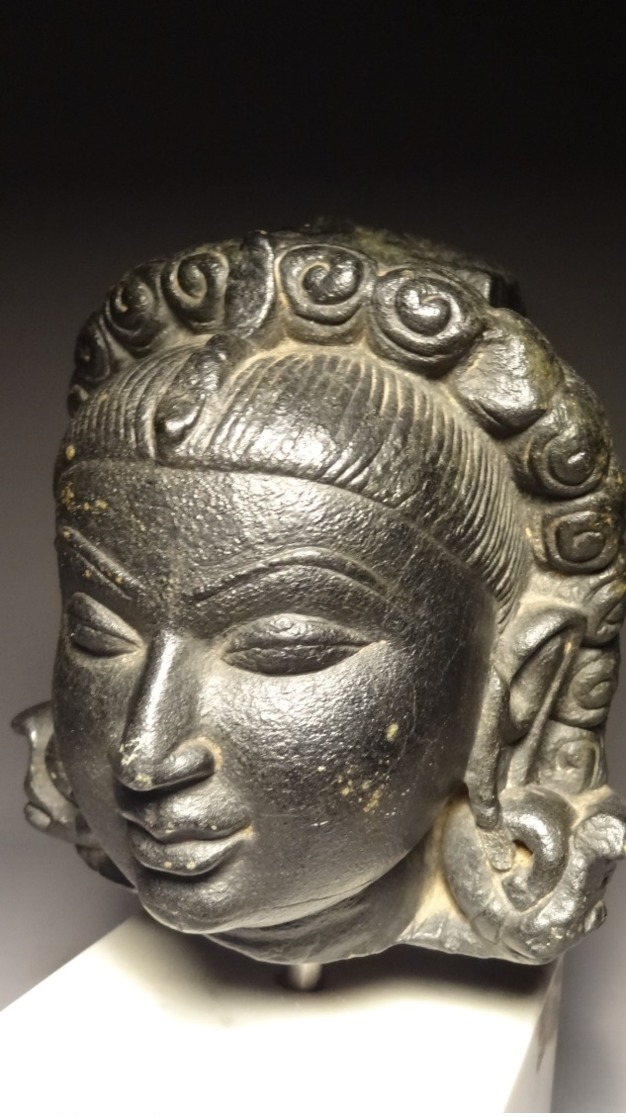 Head of Yakshi Stone-Pala Period