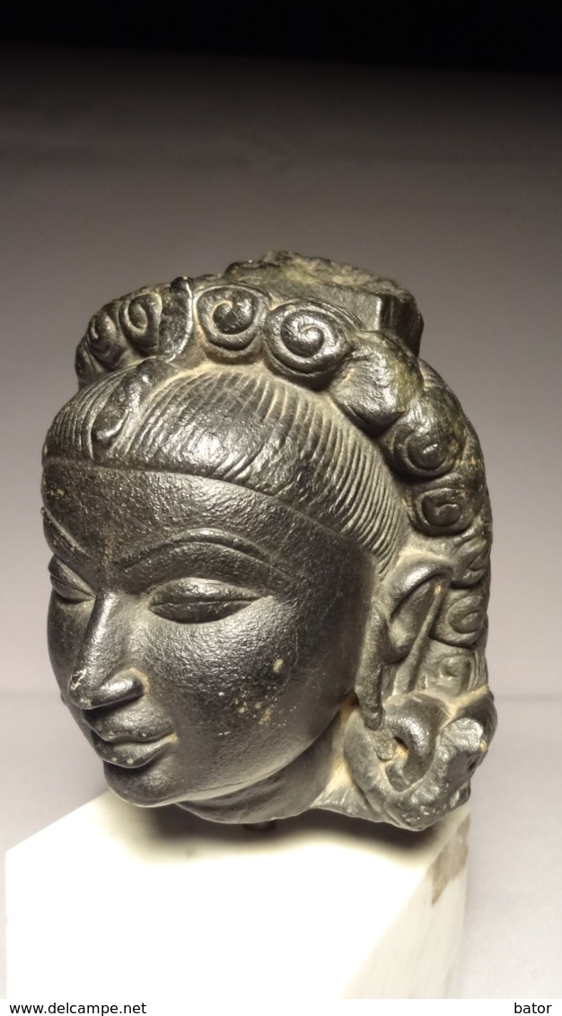 Head of Yakshi Stone-Pala Period