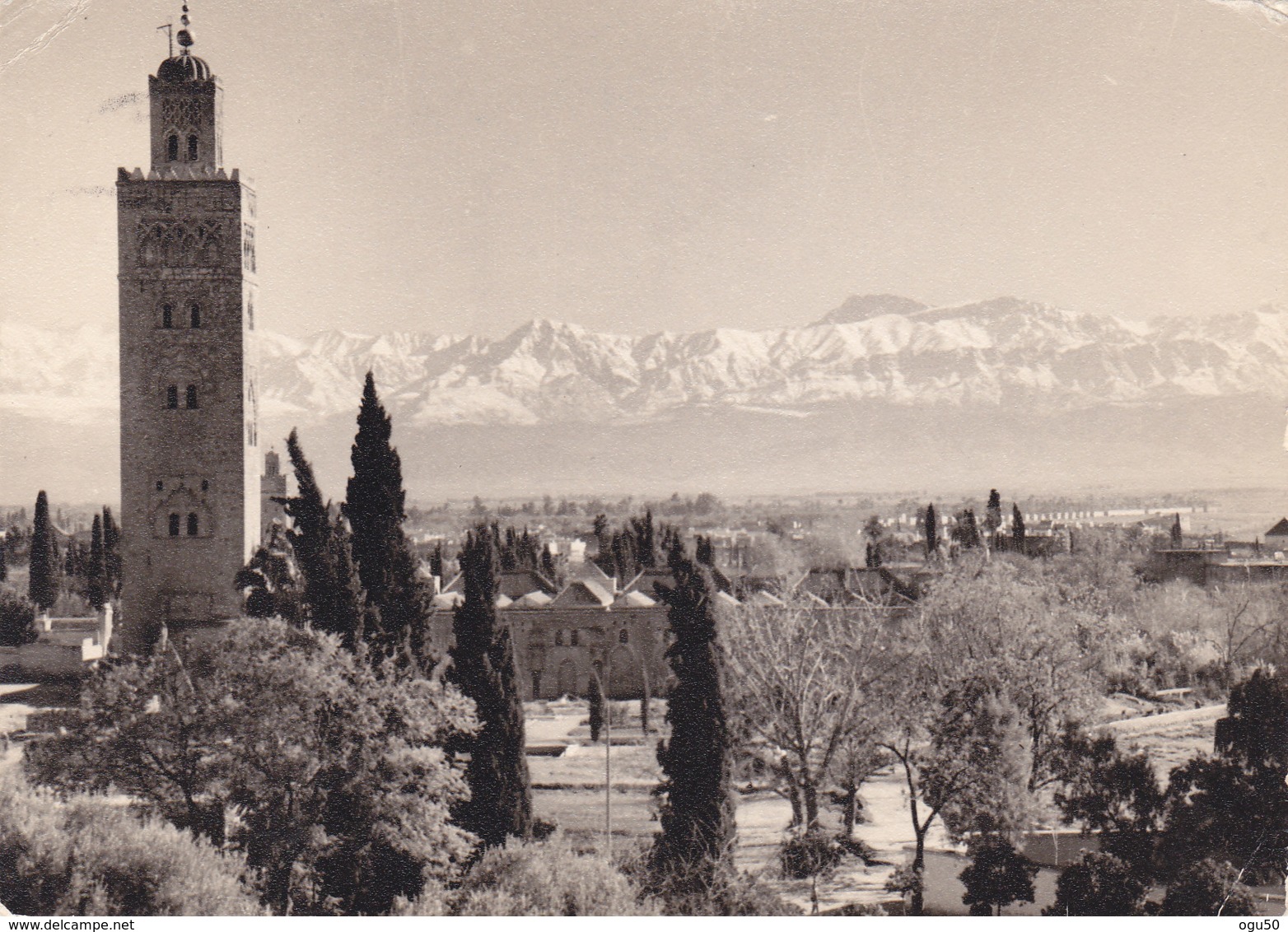 Marrakech (Maroc) - Panorama Avec Atlas - Marrakech