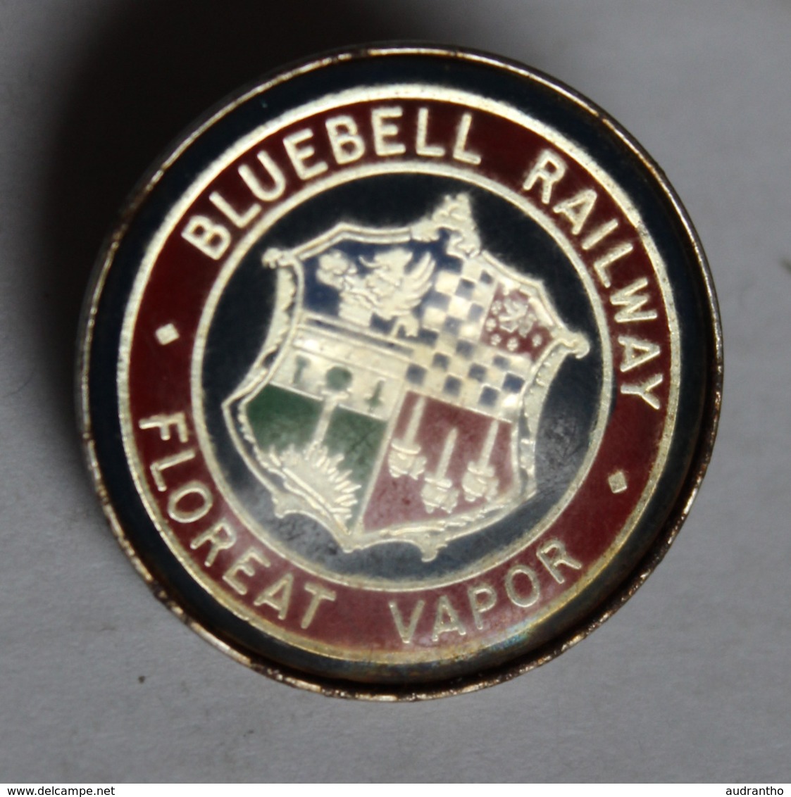 Badge Broche Bluebell Railway Floreat Vapor Train à Vapeur Sheffield Steam Engine - Transport