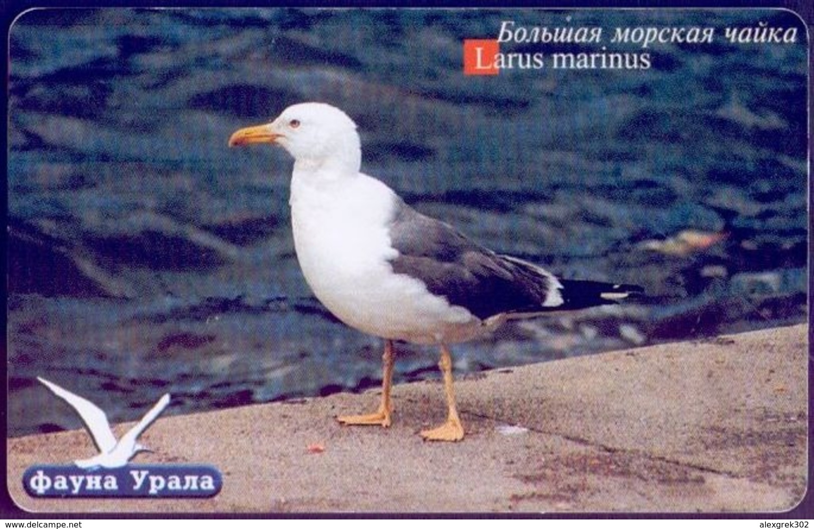 Used Phone Cards Russia Ekaterinburg - Big Seagull 200 ED. - Russia