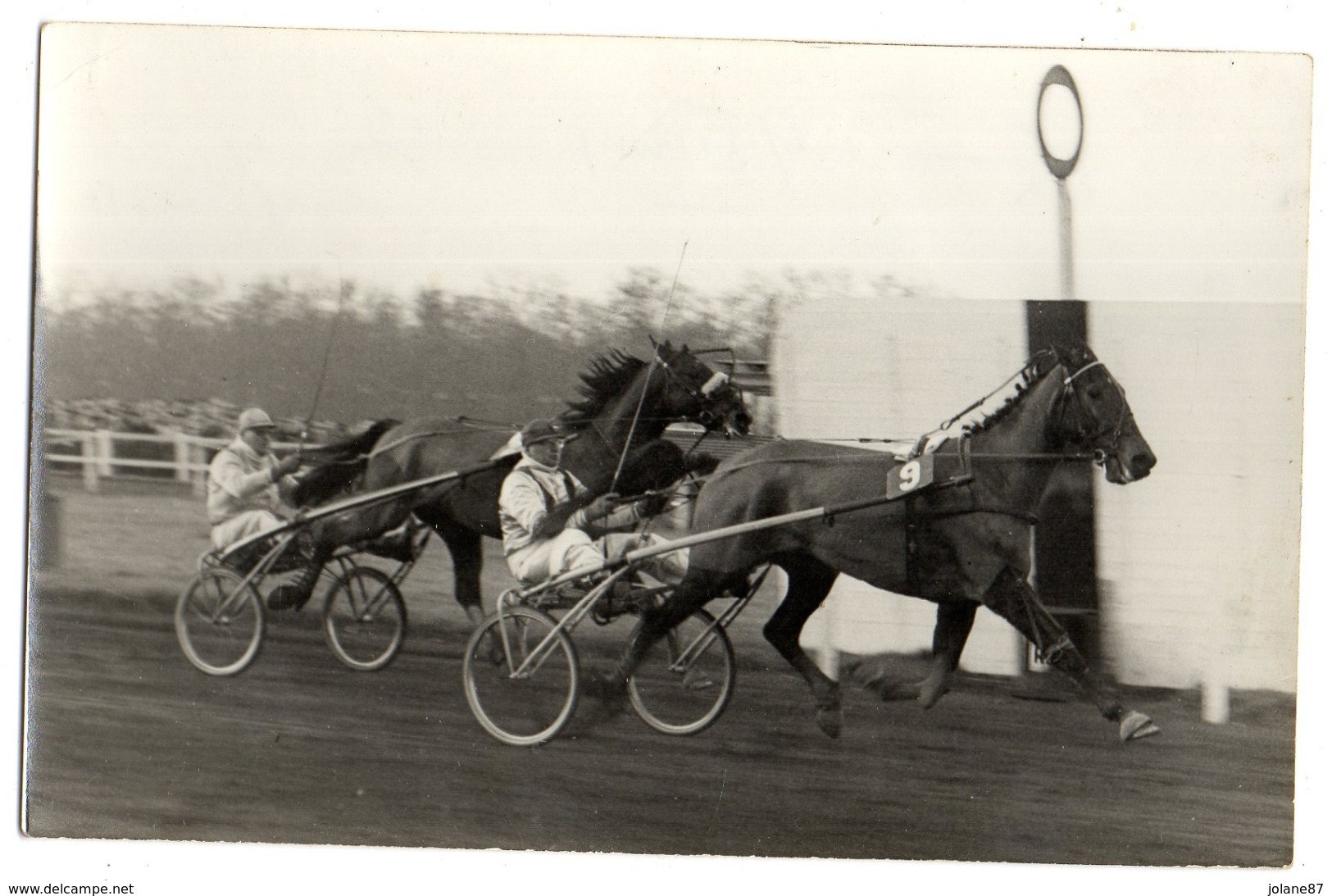 CPA PHOTOGRAPHIE        D UN CHEVAL N° 9   COURSE HIPPIQUE  EN SULKY        JOCKEY ? - Fotografia