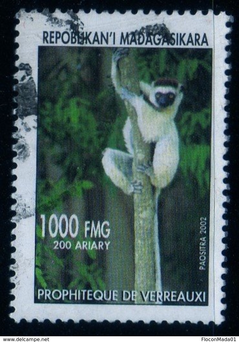 Madagascar 2002 Lémurien Lémur Catta / Animal / Mammifères / N° 1830 Oblitéré Used - Madagascar (1960-...)