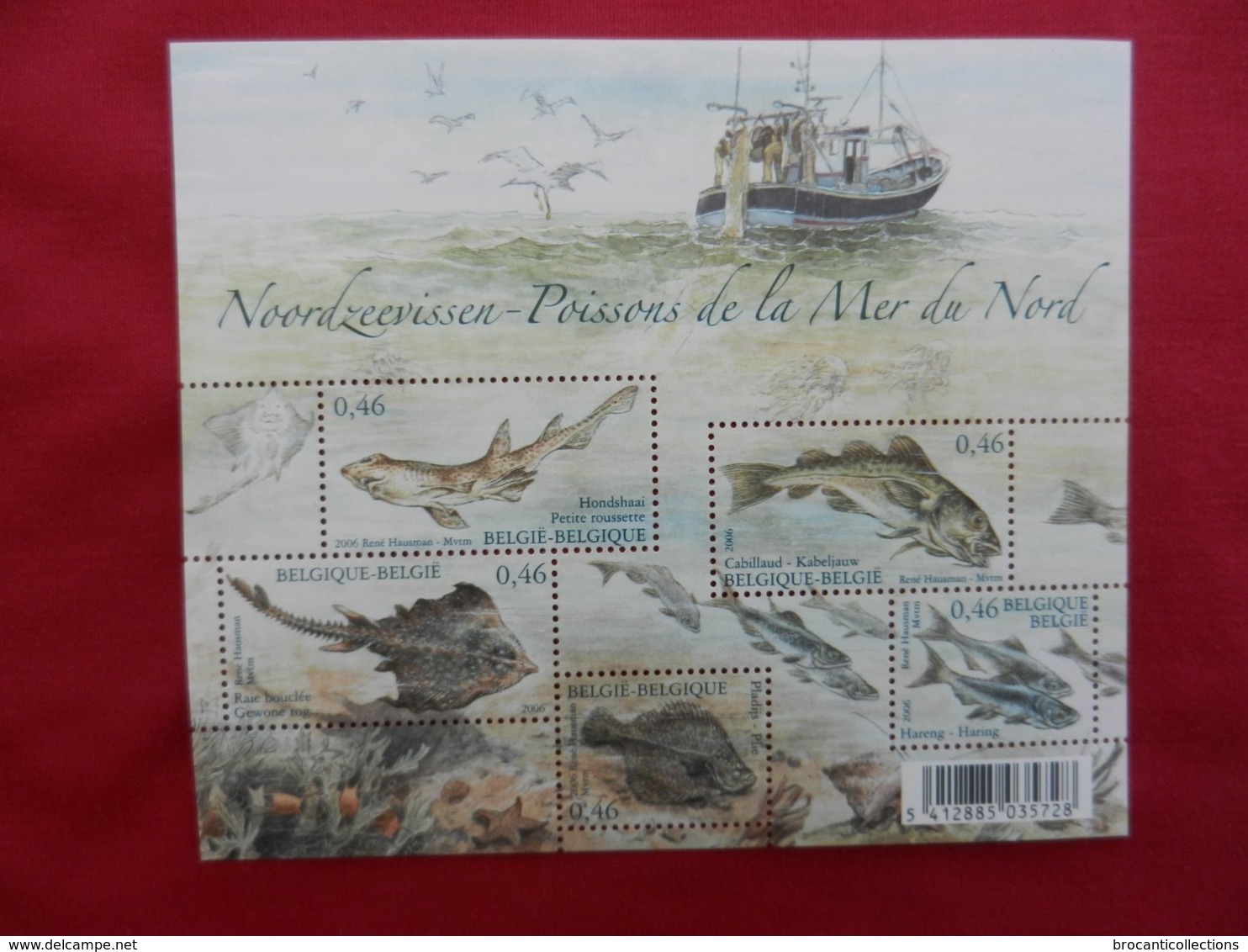 Planche De Timbres - Belgique - Poissons De La Mer Du Nord - 2006 - Feuilles Complètes & Feuillets