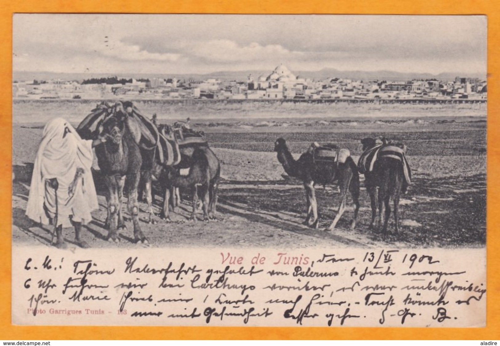 1902 - CP Tunis, Régence, Vers Naumberg, Allemagne - Affranchissement Multicolore - Vue De Tunis Du Désert - Covers & Documents